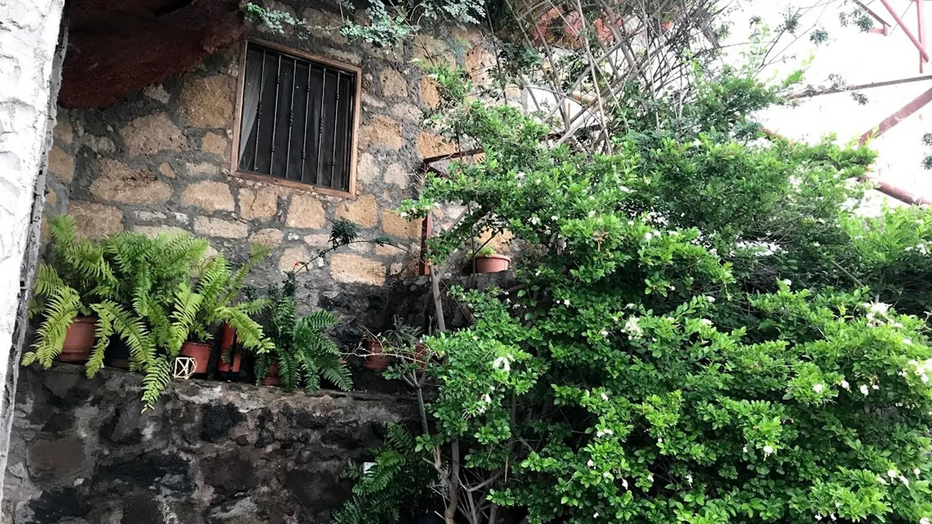 Сasa de vacaciones Finca Las Polinarias Casa Cueva En Fasnia Santa Cruz de Tenerife